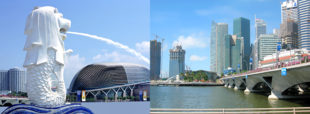 Мерлион и вид на Сингапур. Туры в Сингапур